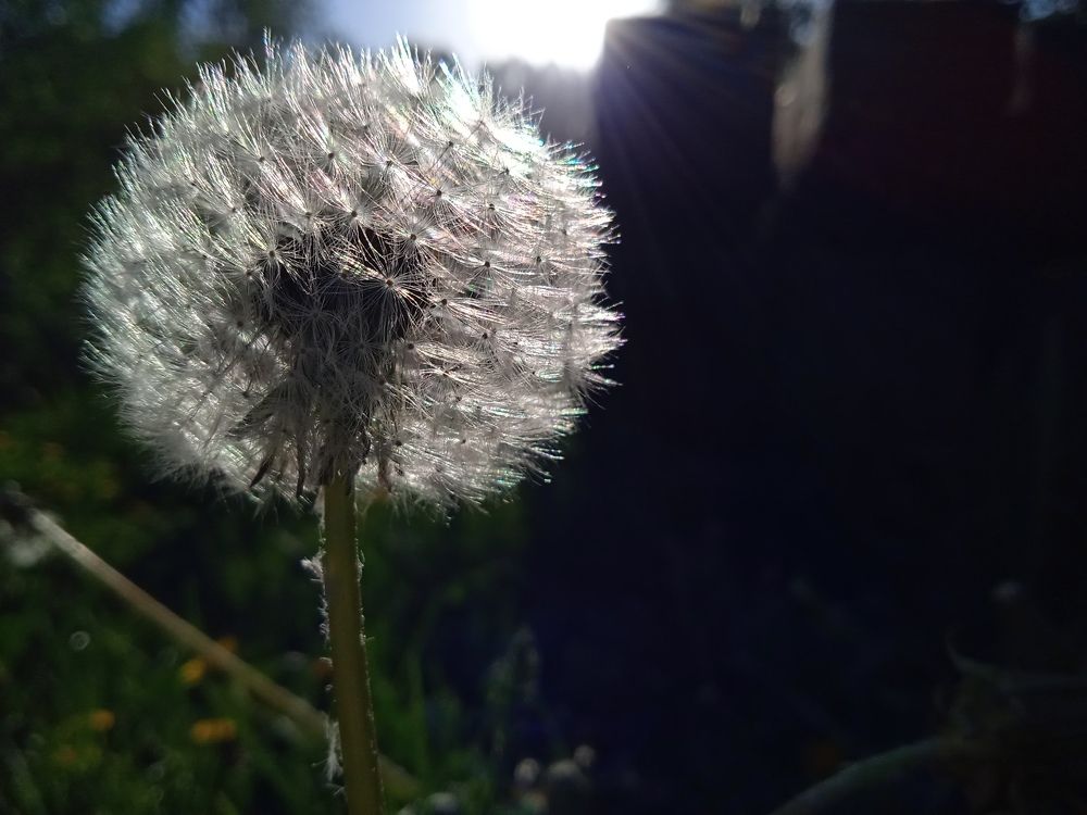 Photograph by Наталья Сорокина