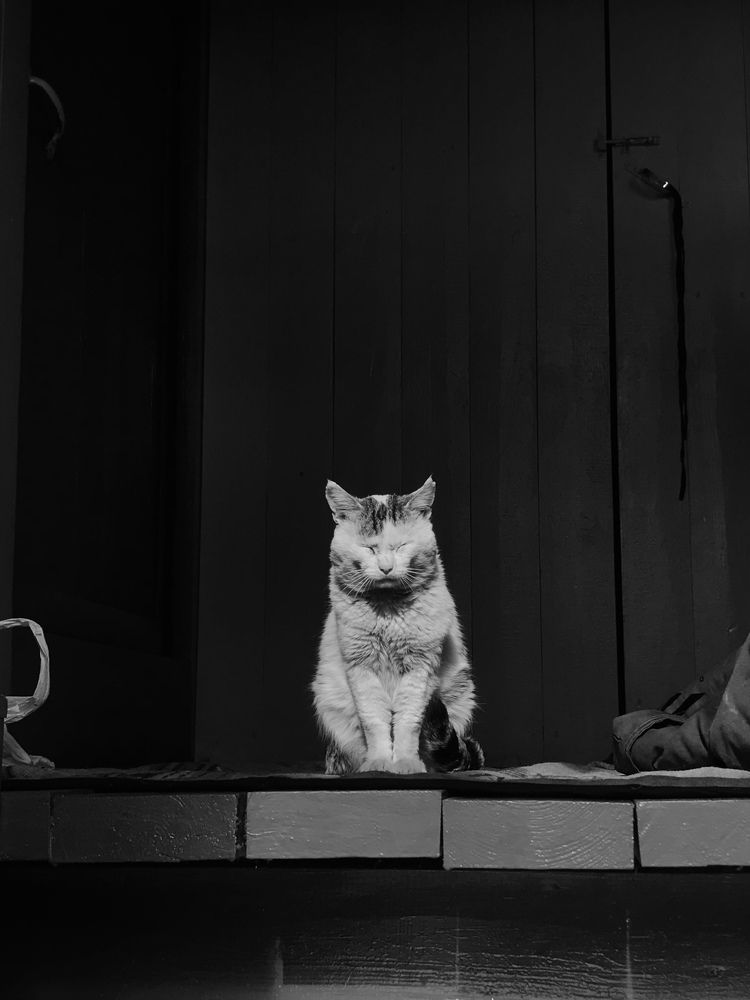 Photograph by Данил Исхаков