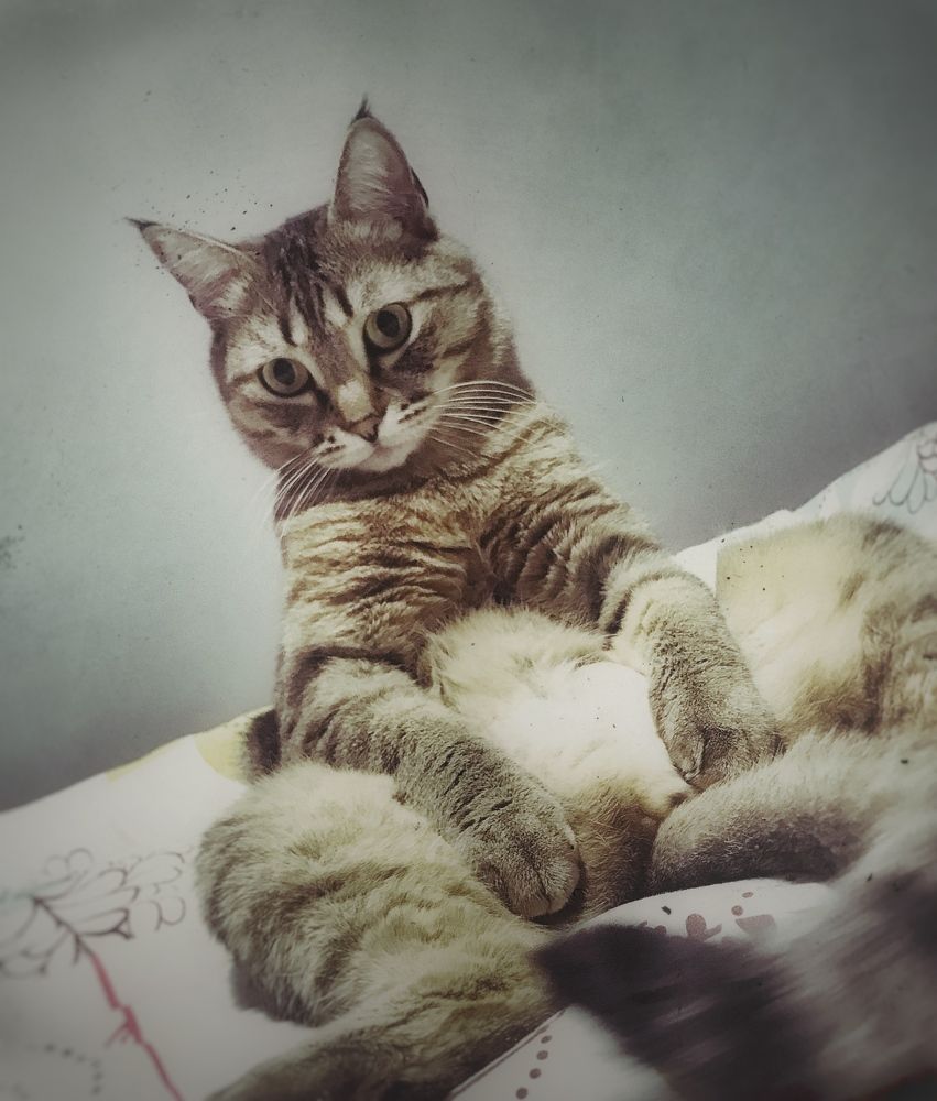 Photograph by Данил Исхаков