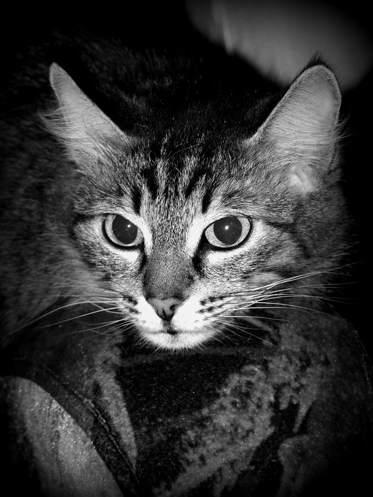 Фотография автора Владислава Андрюнина