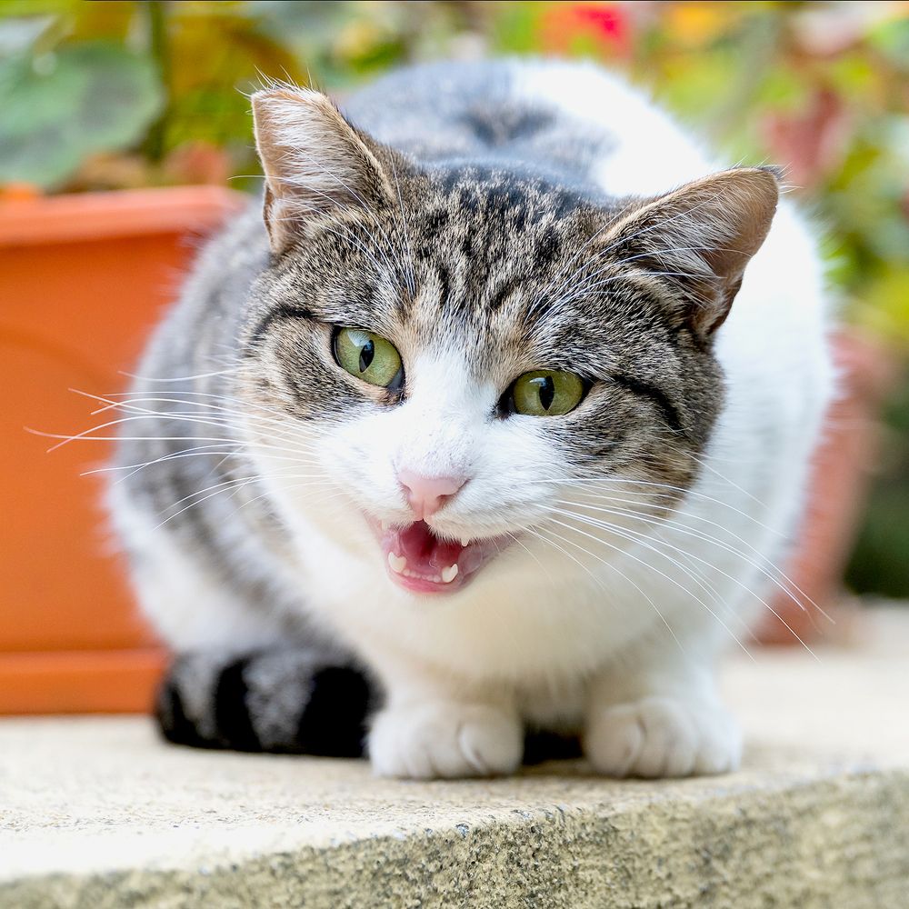 Photograph by Venelin Todorov