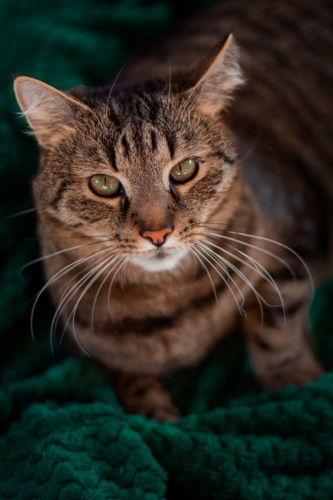 Photograph by Ольга Щерба