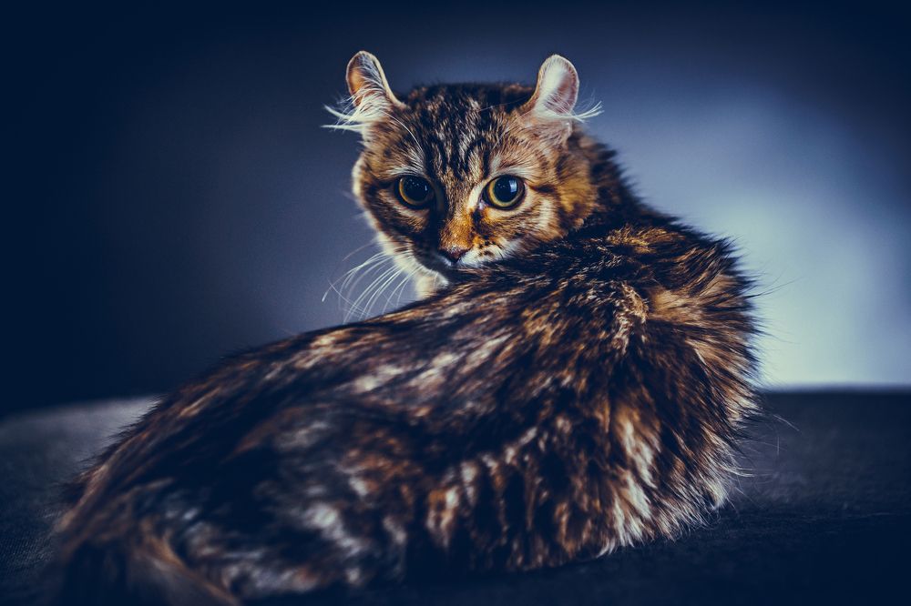 Photograph by Andrey Pasyugin