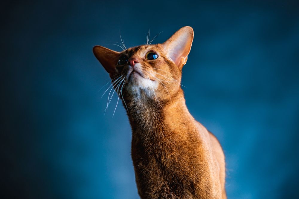 Photograph by Andrey Pasyugin