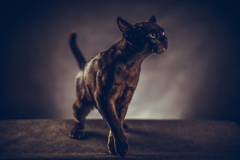 Photograph by Andrey Pasyugin