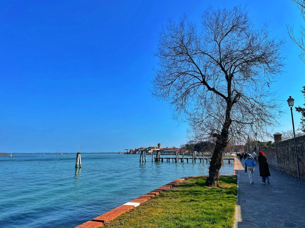 Photograph by Wilson baldion soler