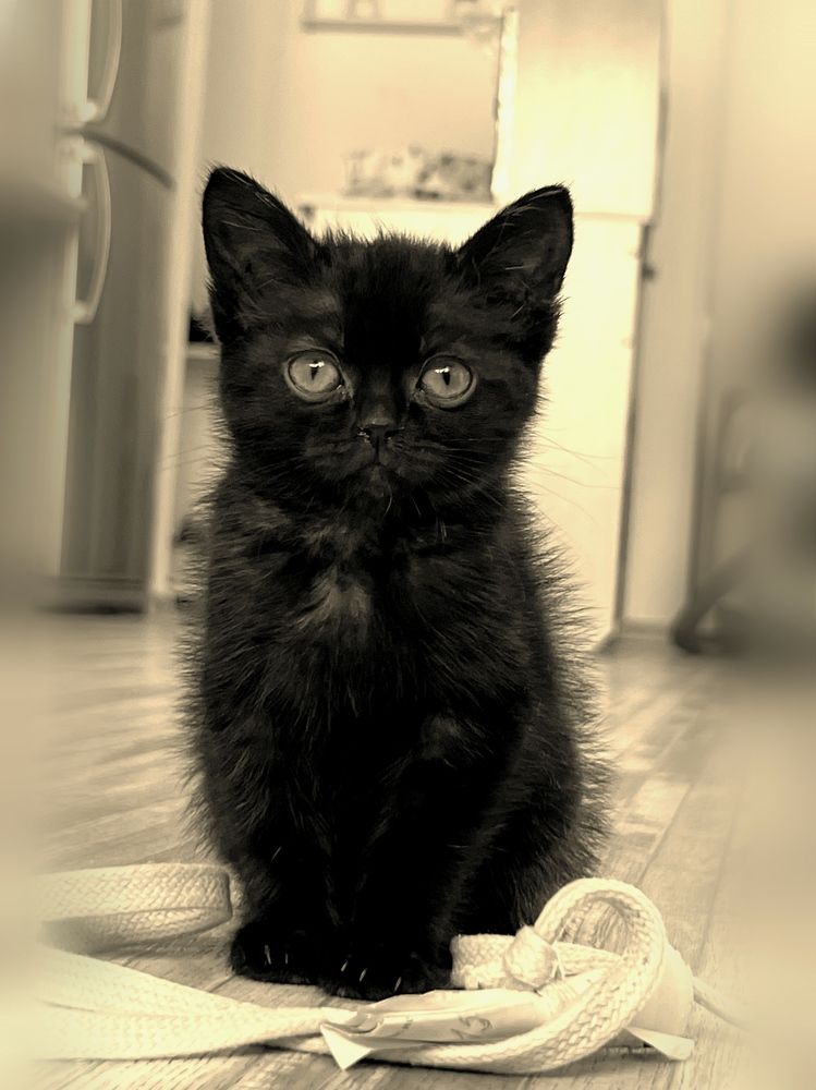 Photograph by Елена Змейкова