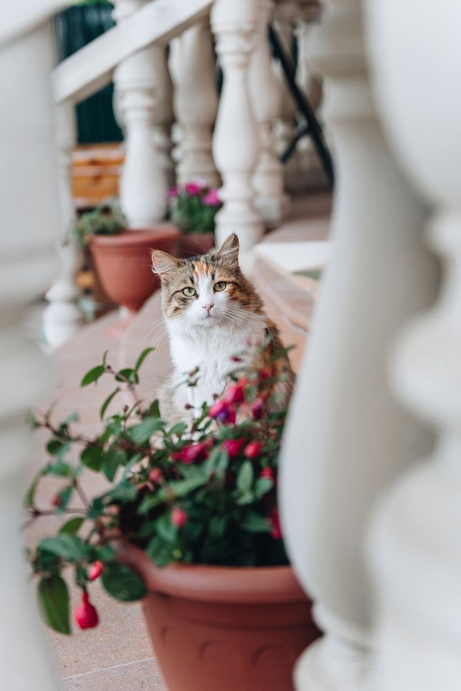 Photograph by Анастасия Герасимова