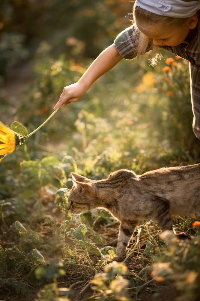 Photograph by Екатерина Рязанова
