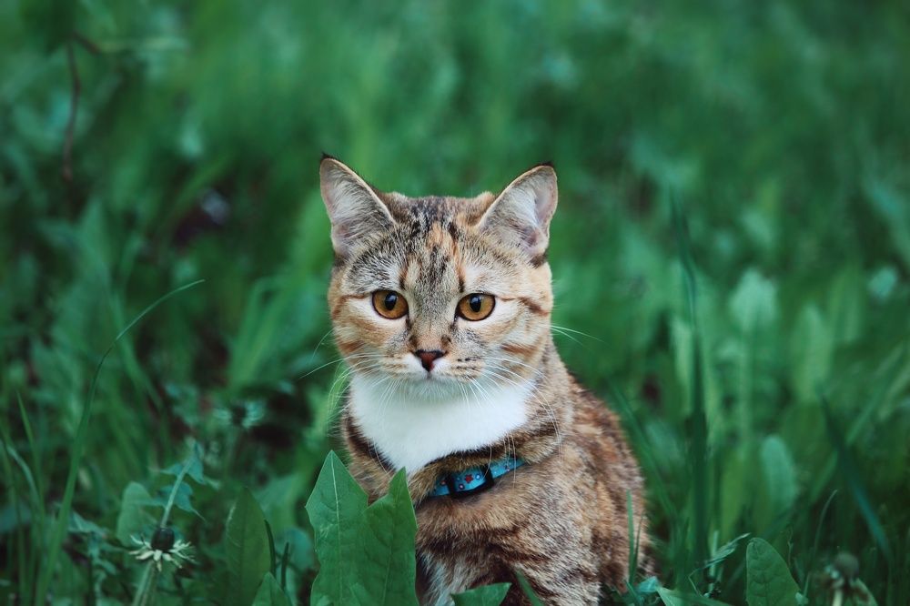 Photograph by Юлия Серазетдинова