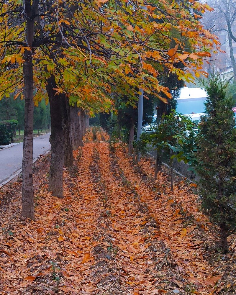 Photograph by Сохибкирон Мирзоев