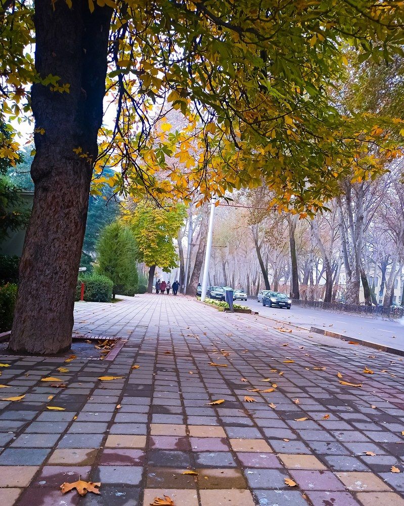 Photograph by Сохибкирон Мирзоев