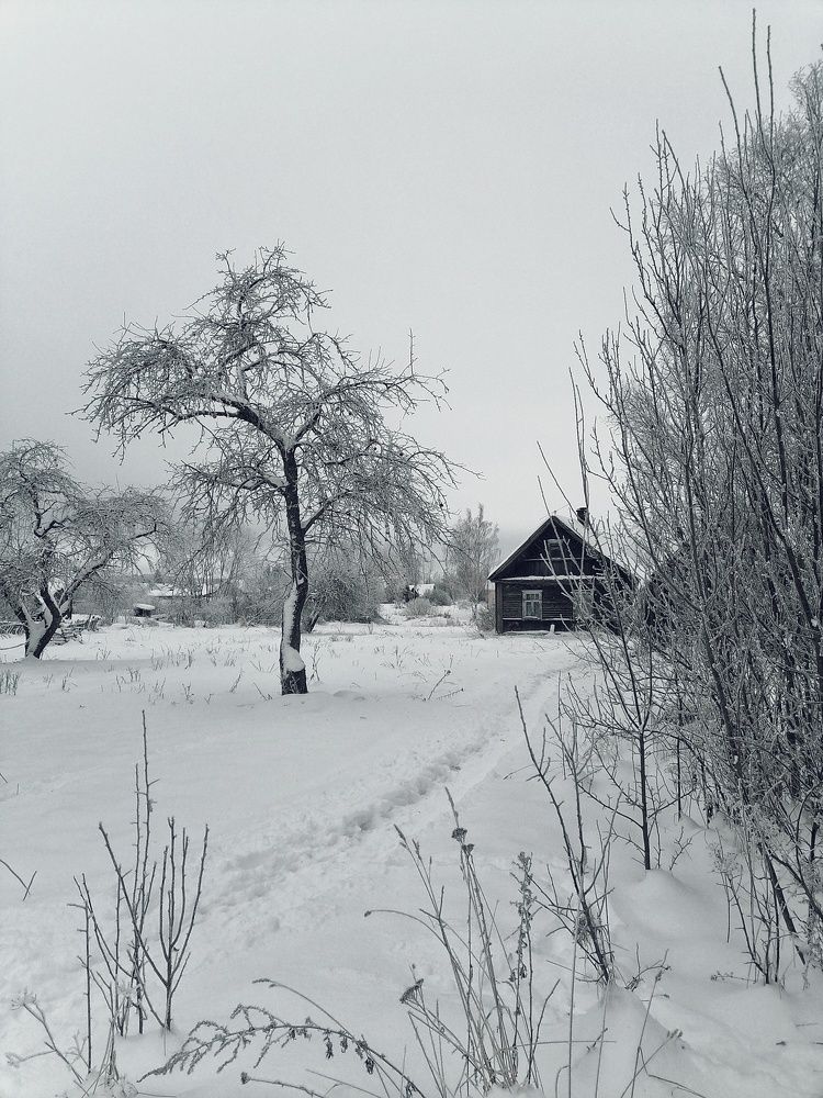 Photo #8998579