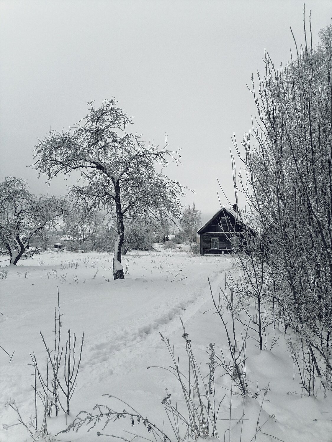 Photo #8998579