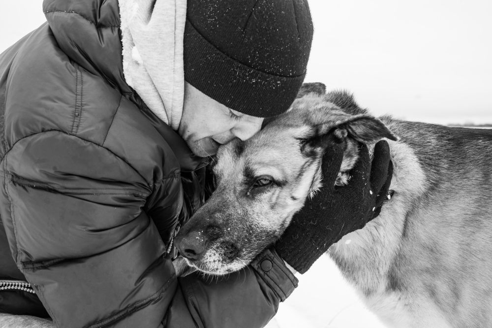 Photograph by Елизавета Фирстова