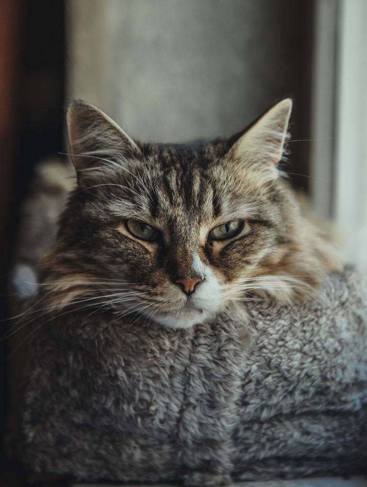 Photograph by Львова Люси