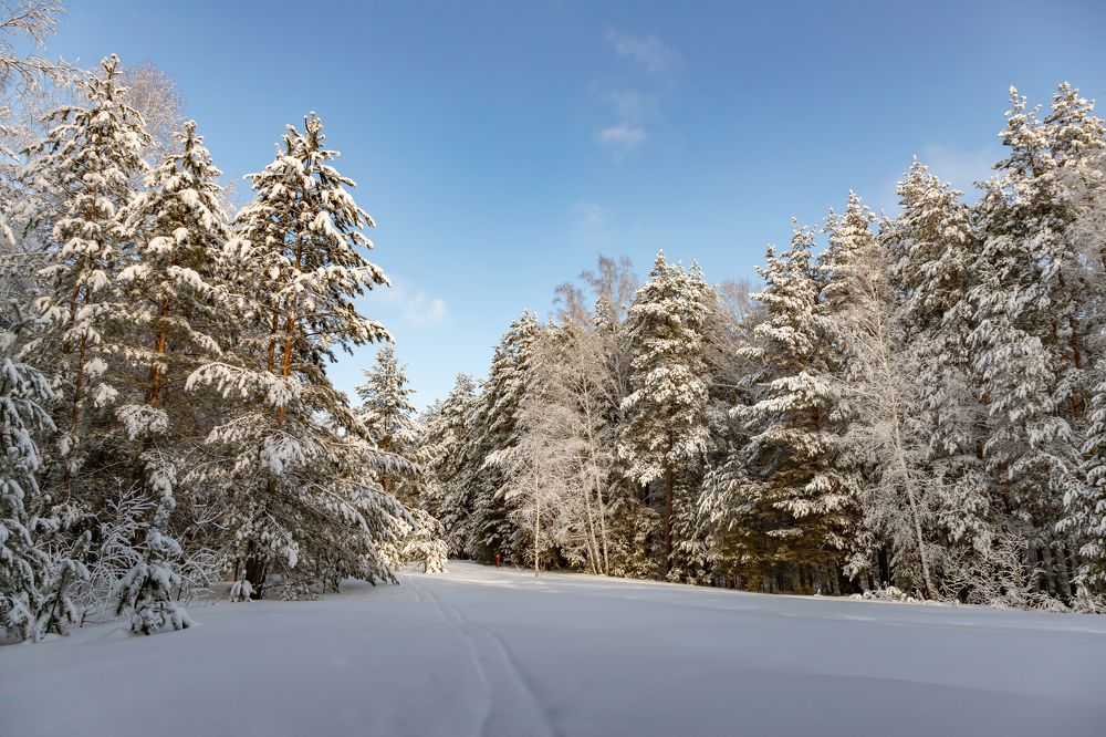 Фотография автора Andrey Pristyazhnyuk