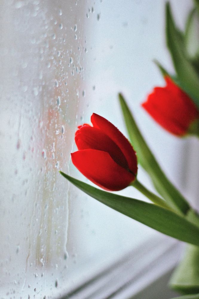 Photograph by Жанна Цветкова