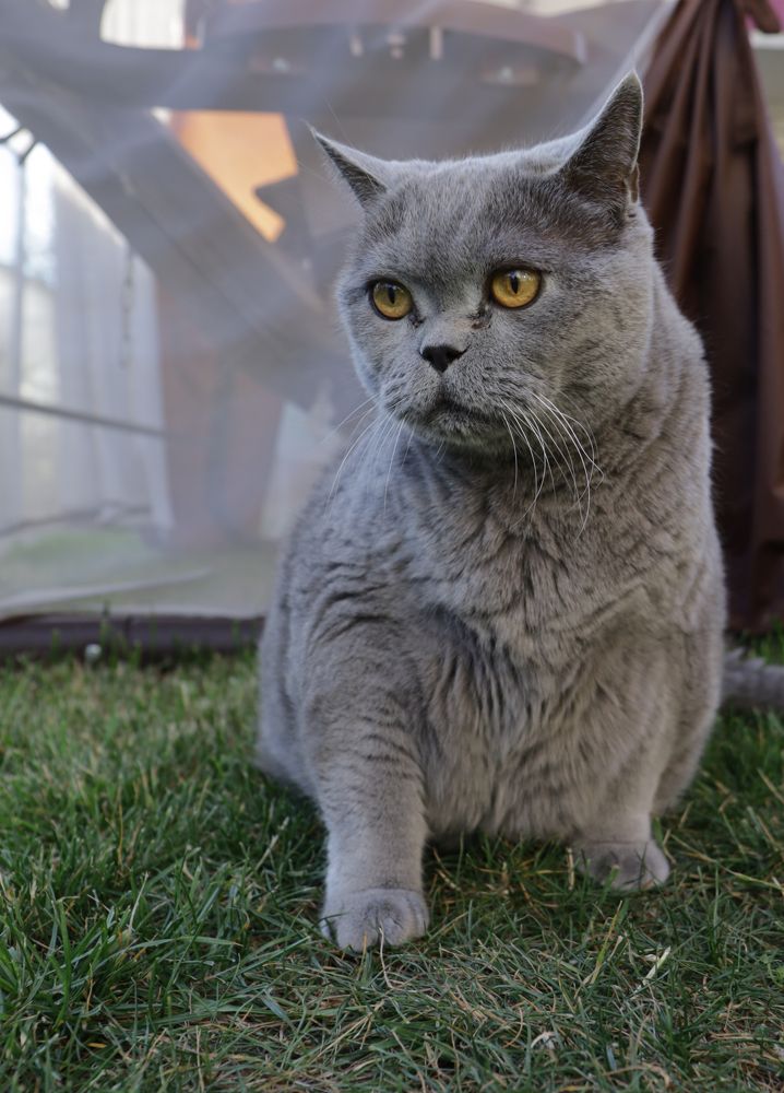 Photograph by Ирина Яковлева