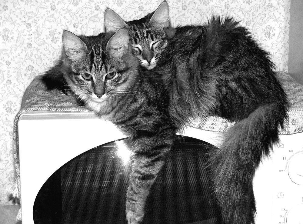 Фотография автора Владислава Андрюнина