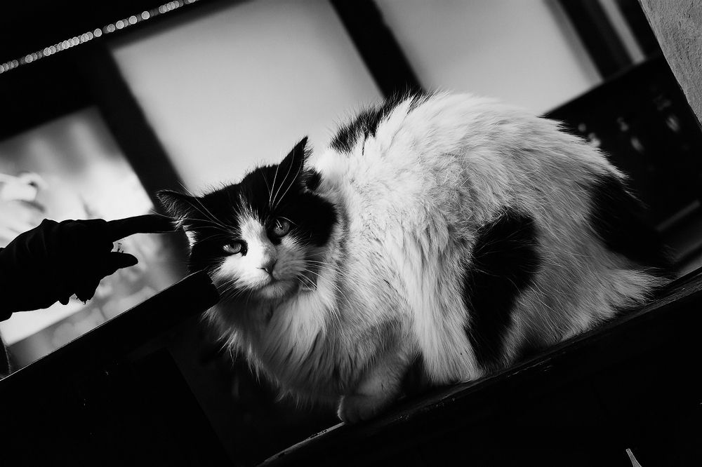 Photograph by Abdulaziz Al Fayz