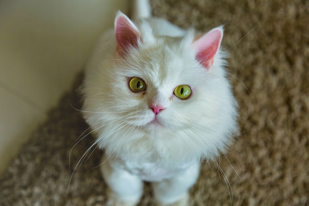 Photograph by Abdulaziz Al Fayz