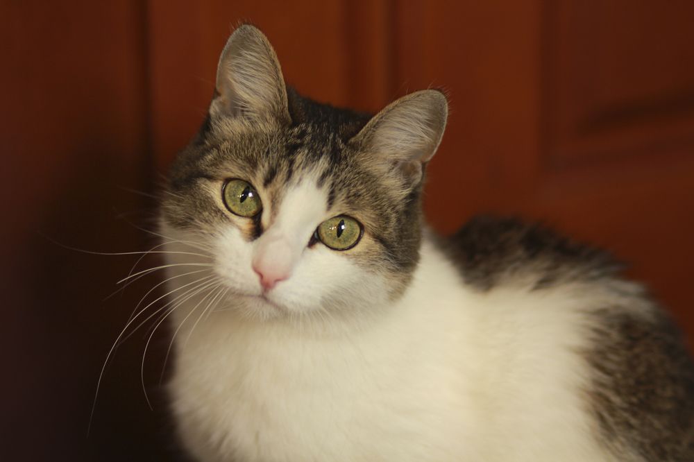 Photograph by Людмила Савчук