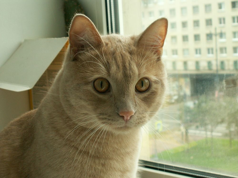 Photograph by Александр Астафьев