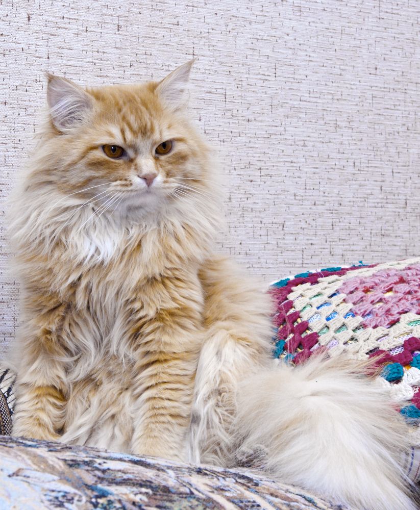 Photograph by Александр Астафьев