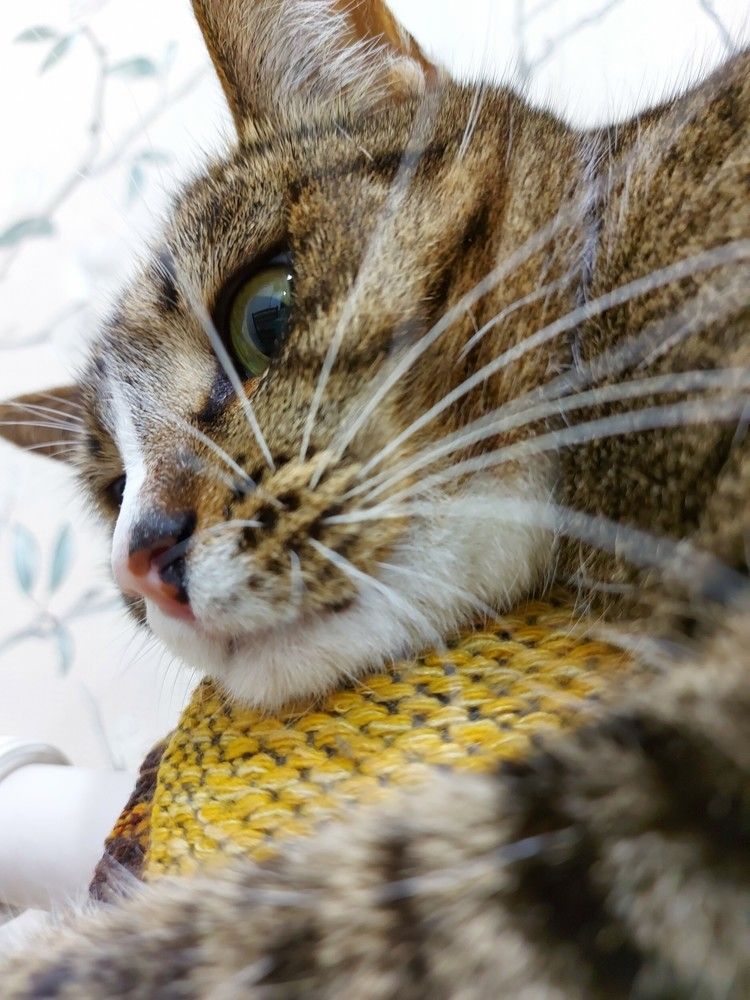 Фотография автора Анастасия Красикова