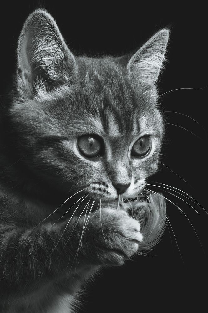 Photograph by Расторгуева Оксана