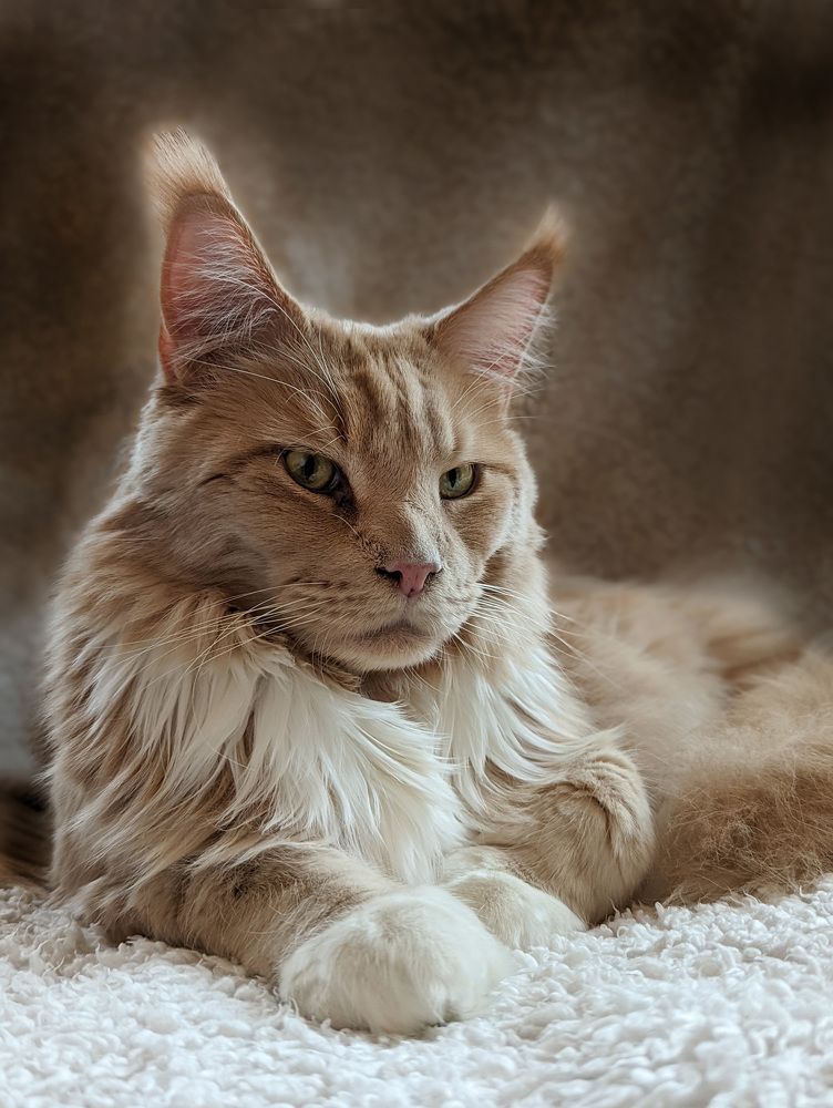 Photograph by Светлана