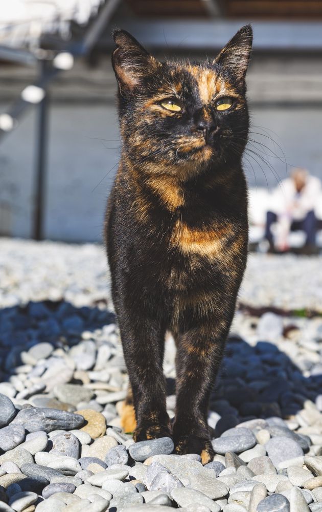 Photograph by Bulgakov Alexey