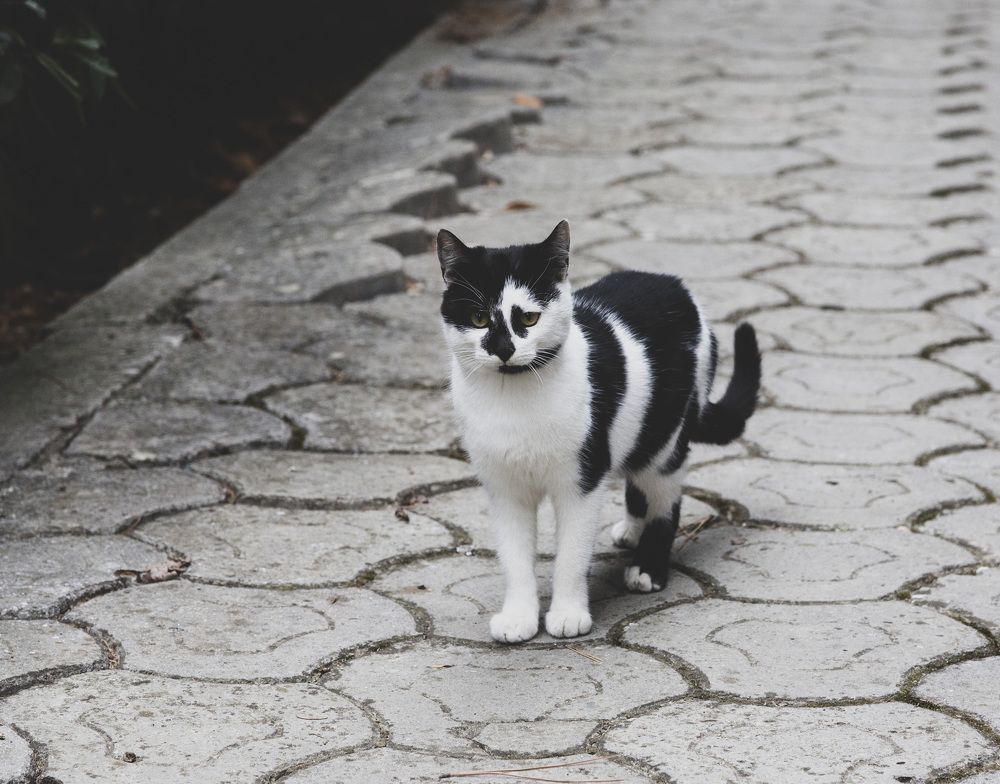 Photograph by Bulgakov Alexey