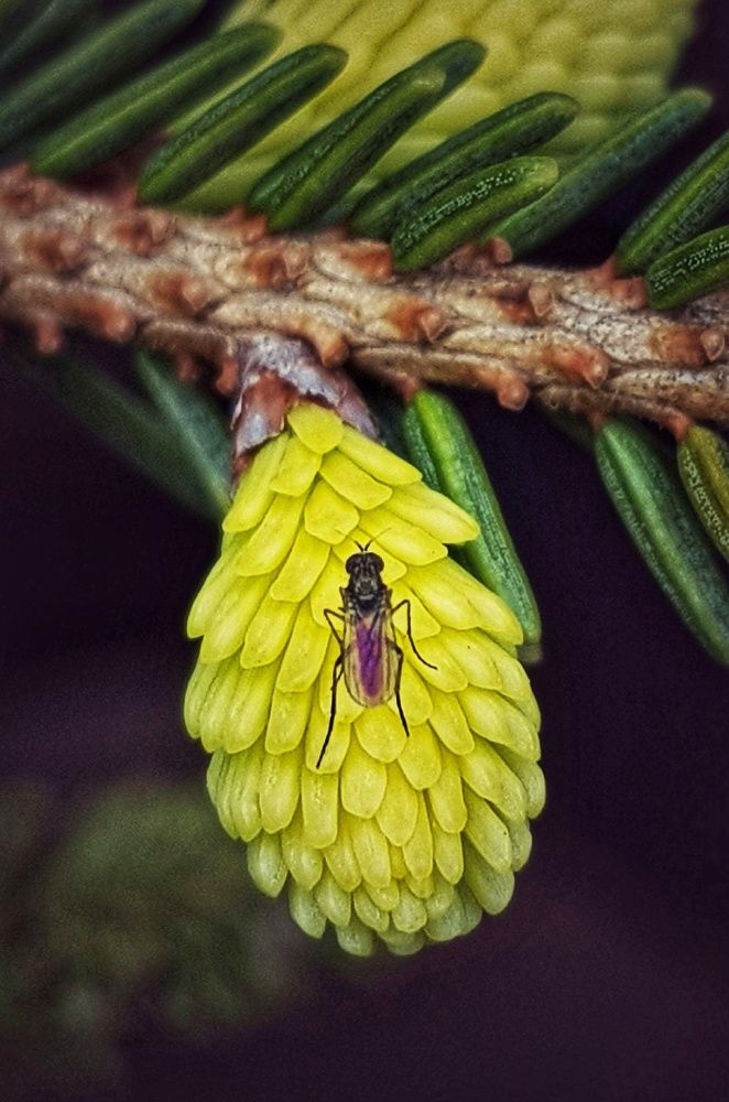 Photograph by Ольга