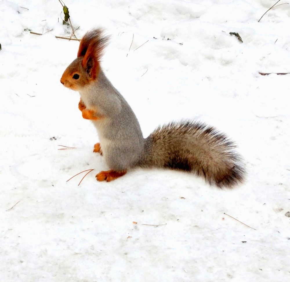 Photograph by Екатерина Лакутина