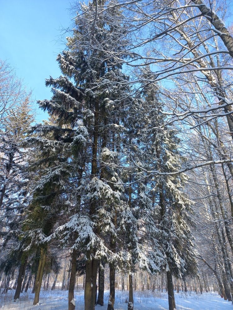 Photograph by Смирнова Наталия