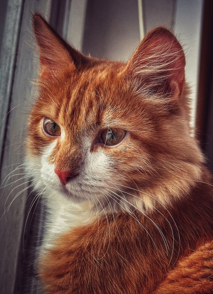 Photograph by Evgenia Privalova