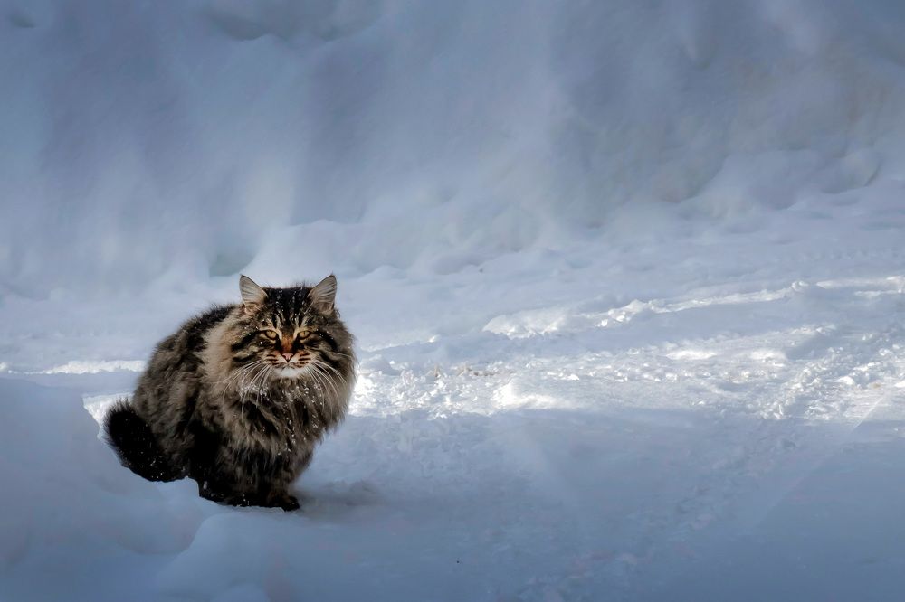 Photograph by Светлана