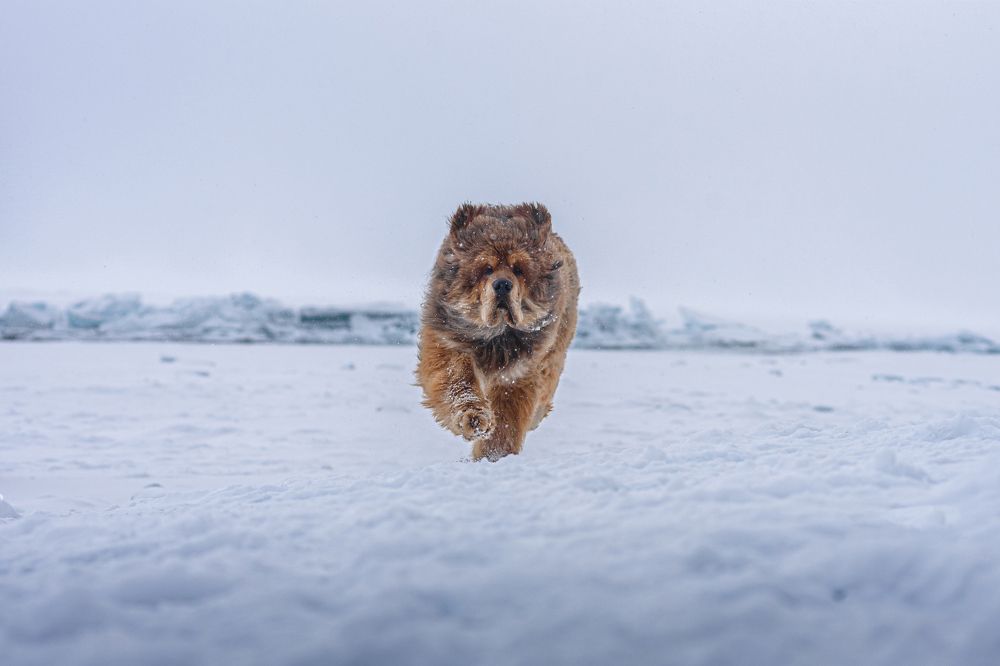 Photograph by Виктория Сафонова