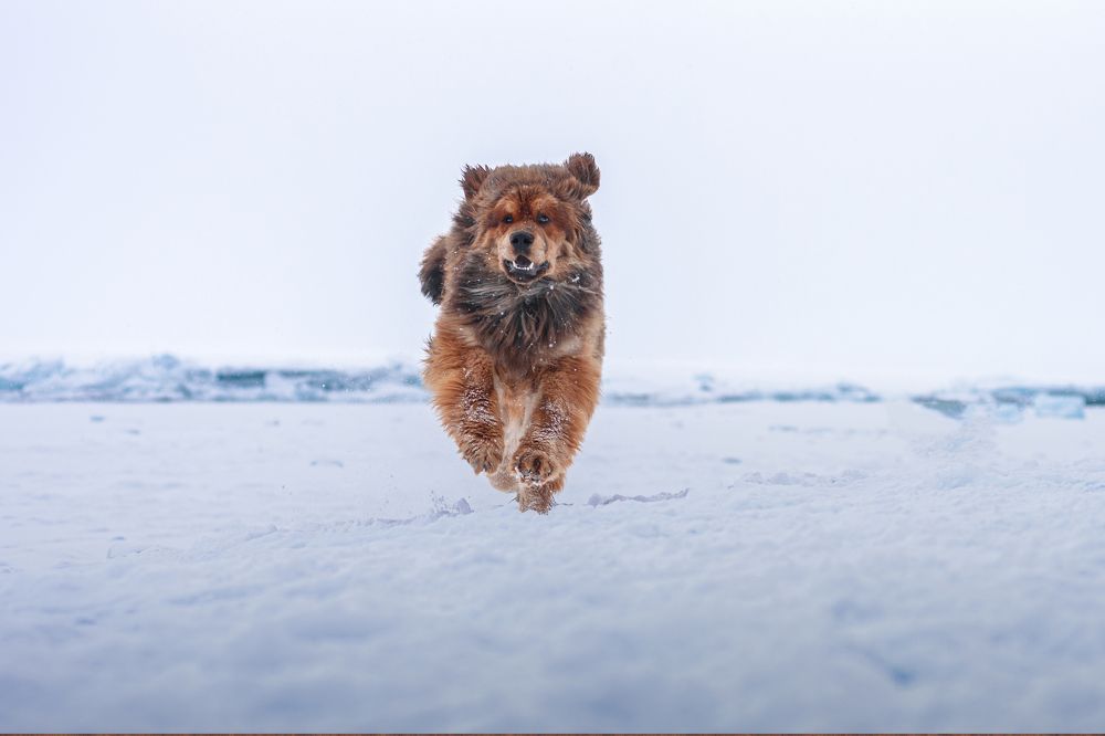 Photograph by Виктория Сафонова