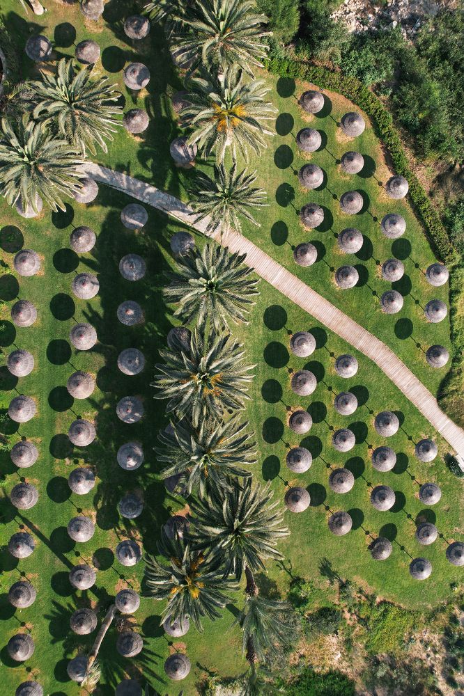 Photograph by Екатерина Александру