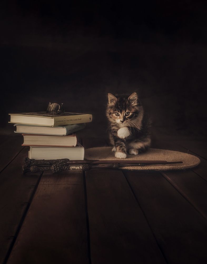 Photograph by Silvana Mestralet