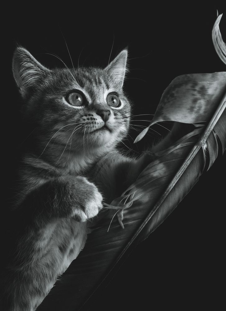 Photograph by Расторгуева Оксана