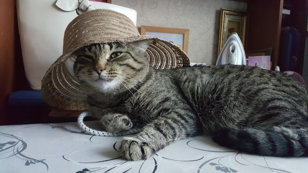 Photograph by Игорь Блинов