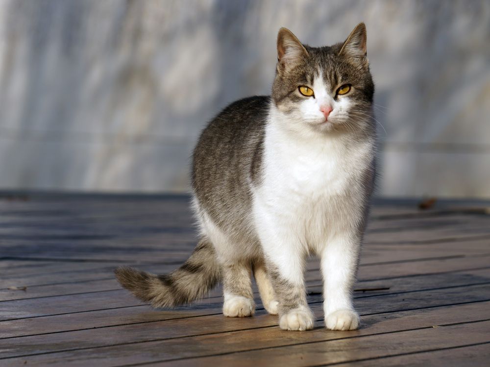 Photograph by Дмитрий Лобанов