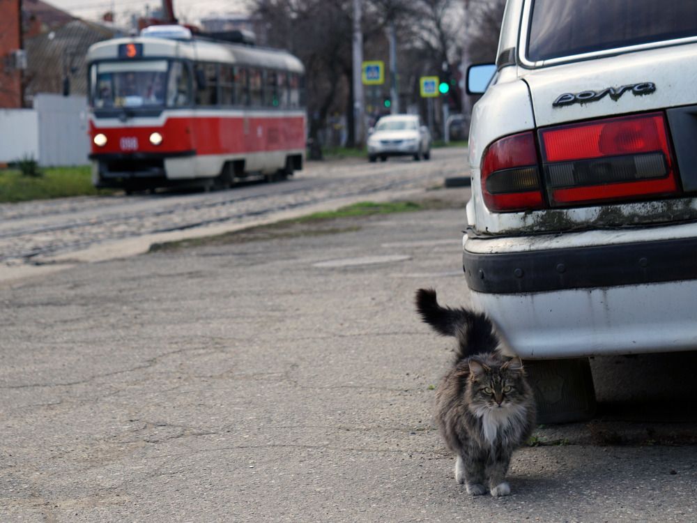 Photograph by Дмитрий Лобанов