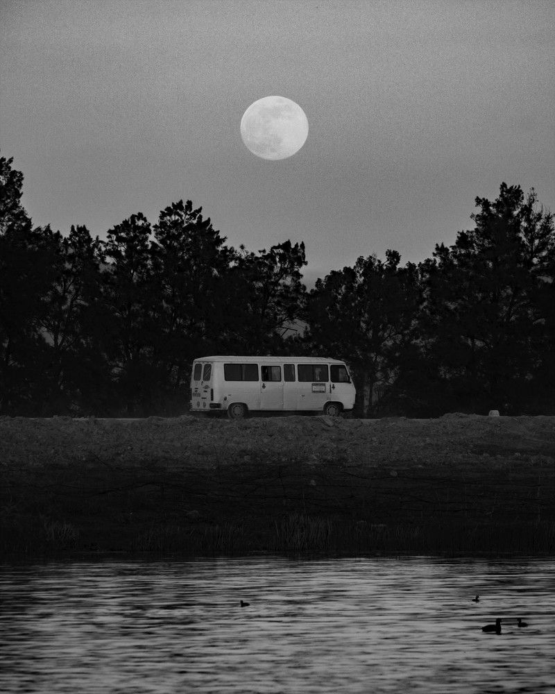 Photograph by Houmame Khelili