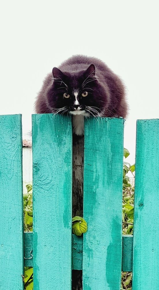 Photograph by Соколова Елена