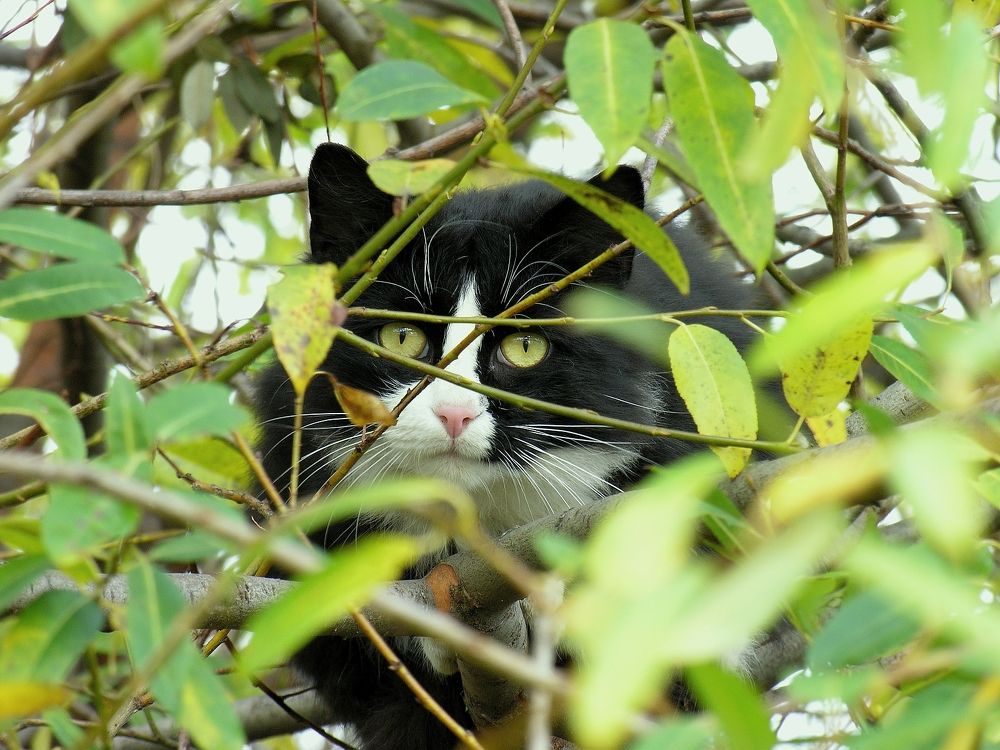 Photograph by Юрий Яковлев